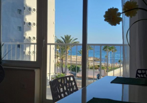 Flamingo Seaviews